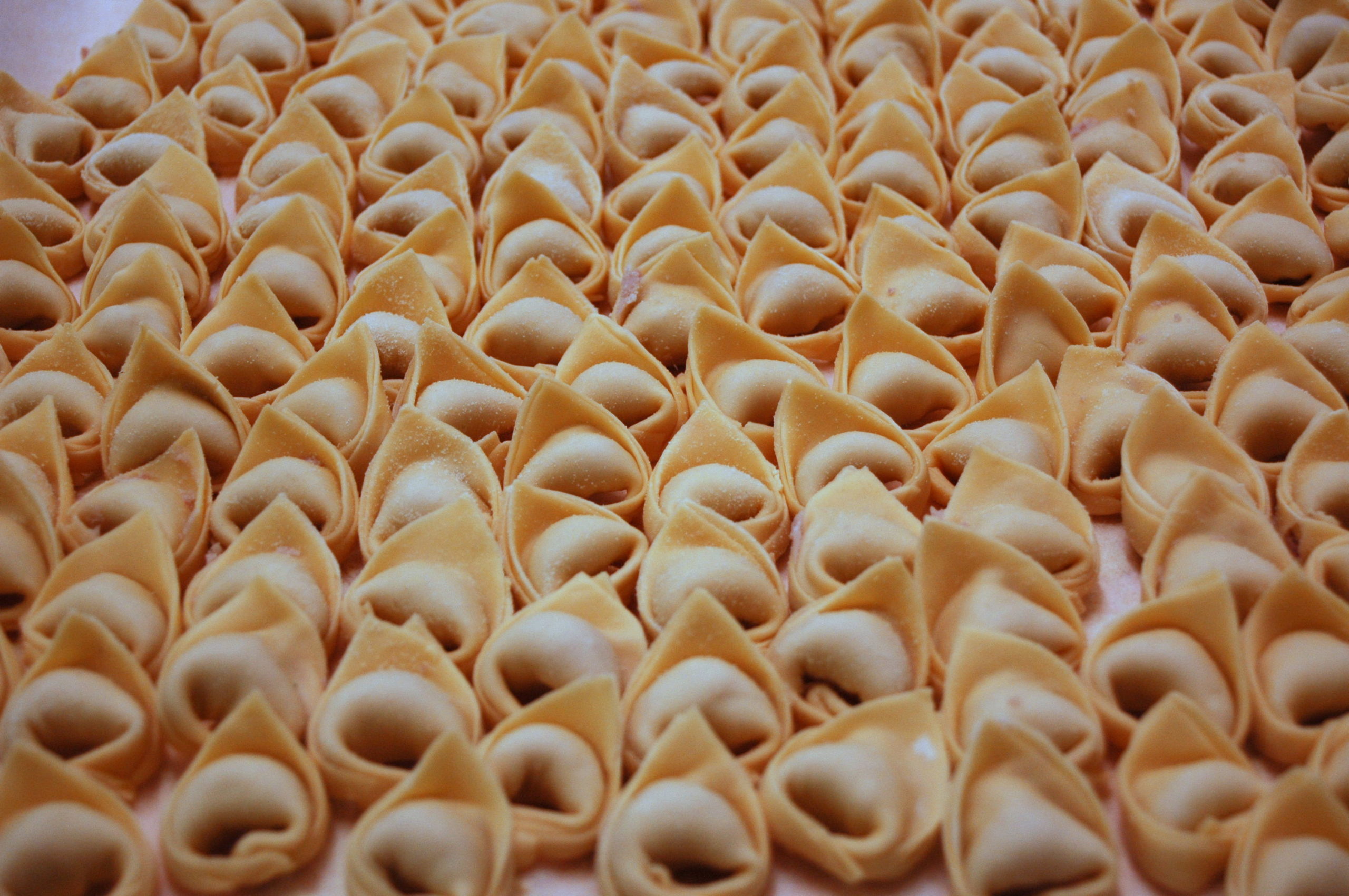 Tortellini alla Bolognese (500 gr) - In Punta di Forchetta